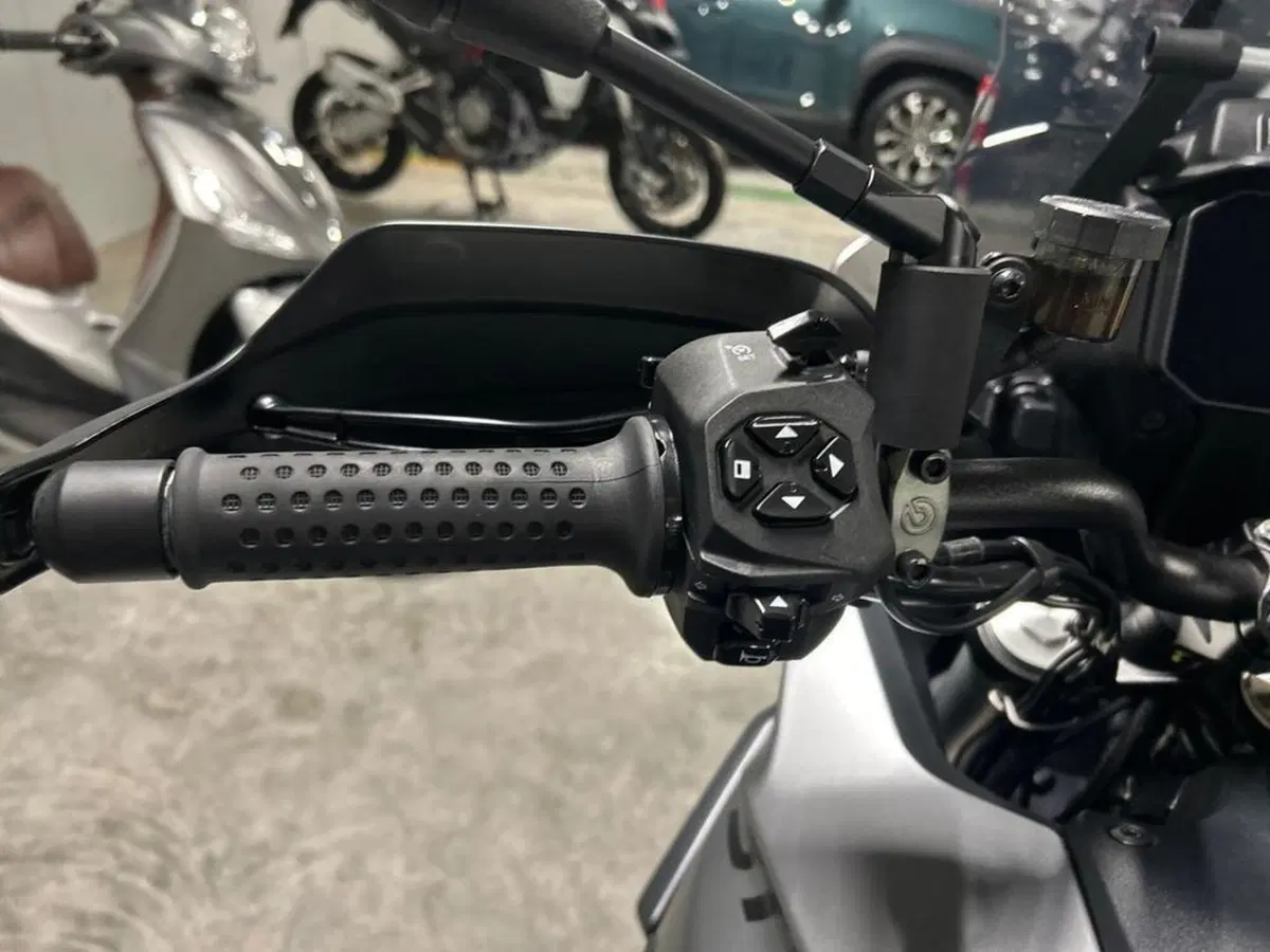 Moto Guzzi Stelvio PFF (2024 - 26) (7)