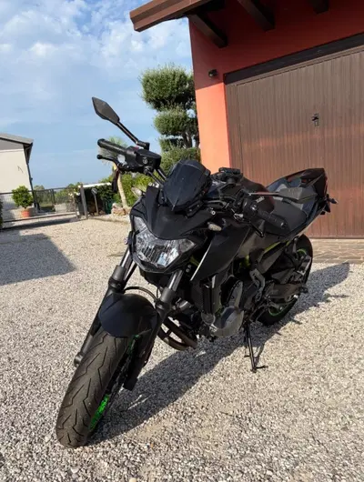 Kawasaki Z 650 Performance (2019 - 20) usata