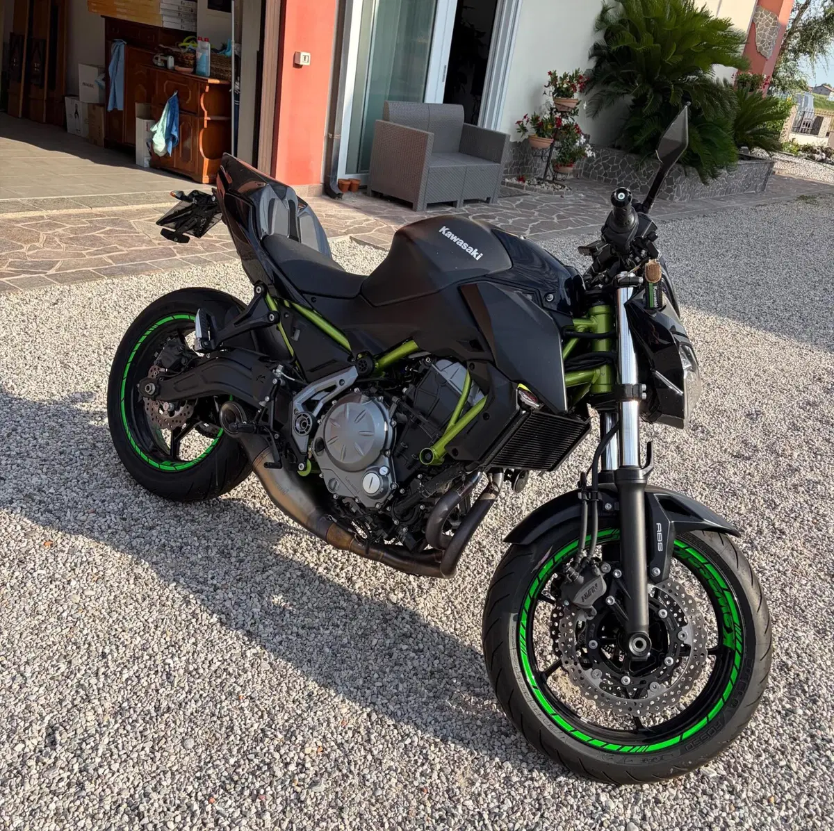 Kawasaki Z 650 Performance (2019 - 20) (2)