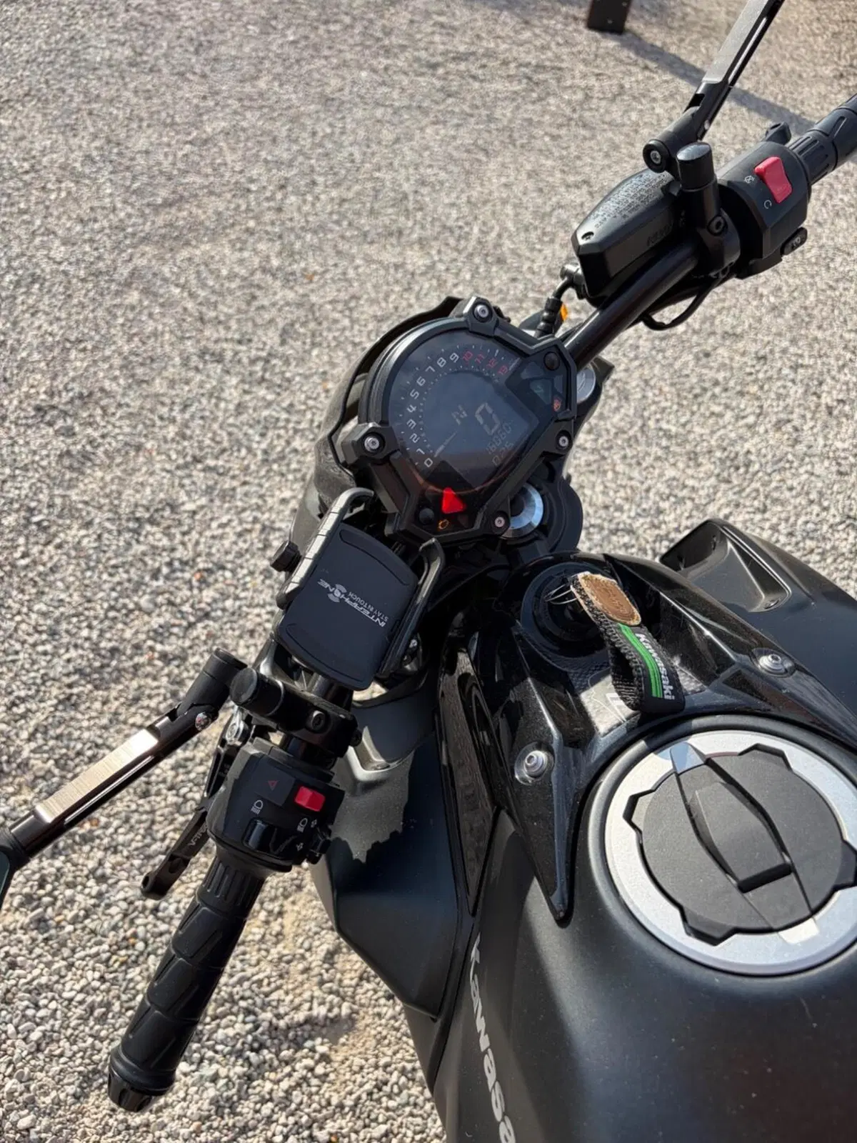 Kawasaki Z 650 Performance (2019 - 20) (9)
