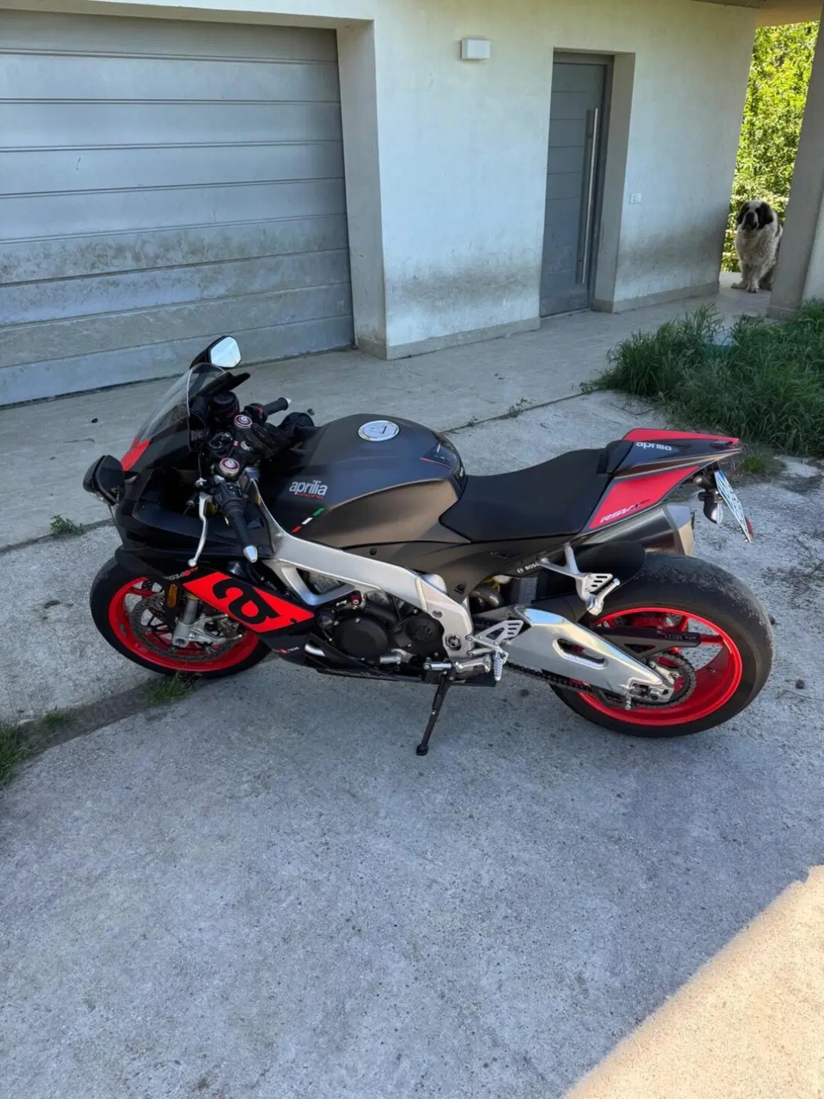 Aprilia RSV4 RR (2017 - 18) (3)