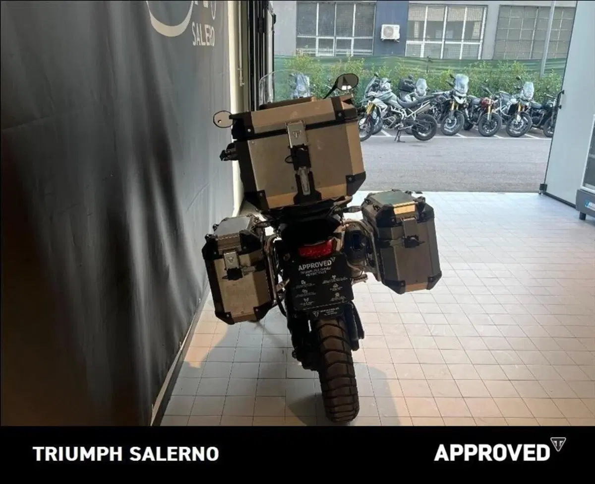 Triumph Tiger 1200 Rally Pro (2024 - 26) (5)