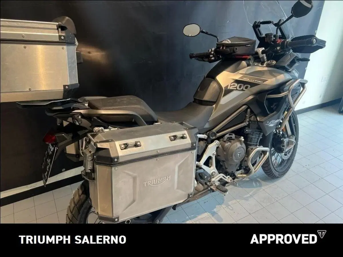 Triumph Tiger 1200 Rally Pro (2024 - 26) (6)