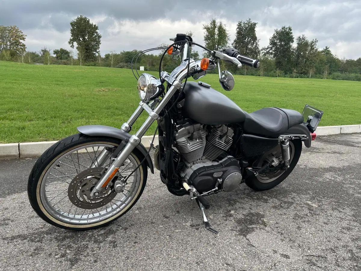 Harley-Davidson 1200 Custom (2007 - 13) - XL 1200C (2)