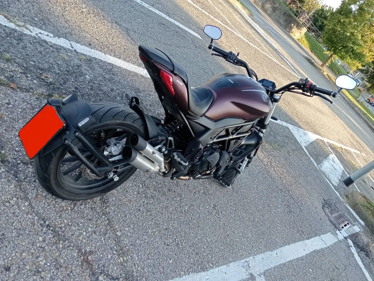 Benelli 502 C (2021 - 25) (5)