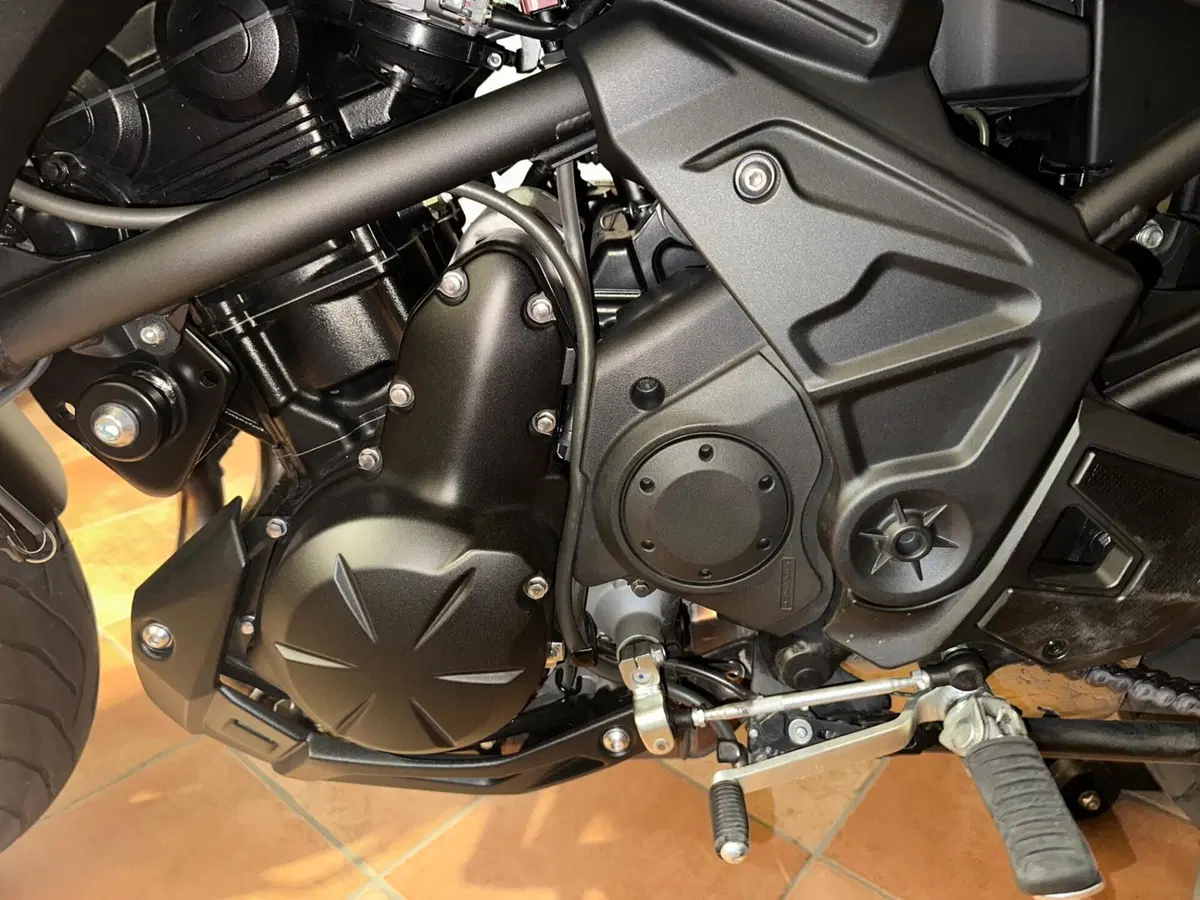 Kawasaki Versys 650 (2021 - 24) (9)