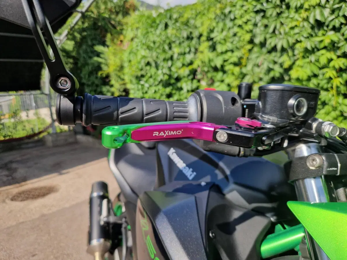Kawasaki Z 500 SE (2024 - 26) (3)