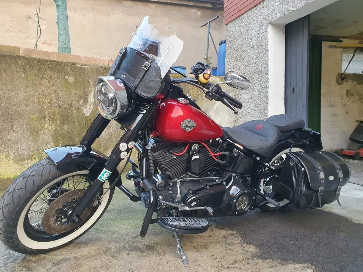 Harley-Davidson 1690 Slim (2011 - 16) - FLS (5)