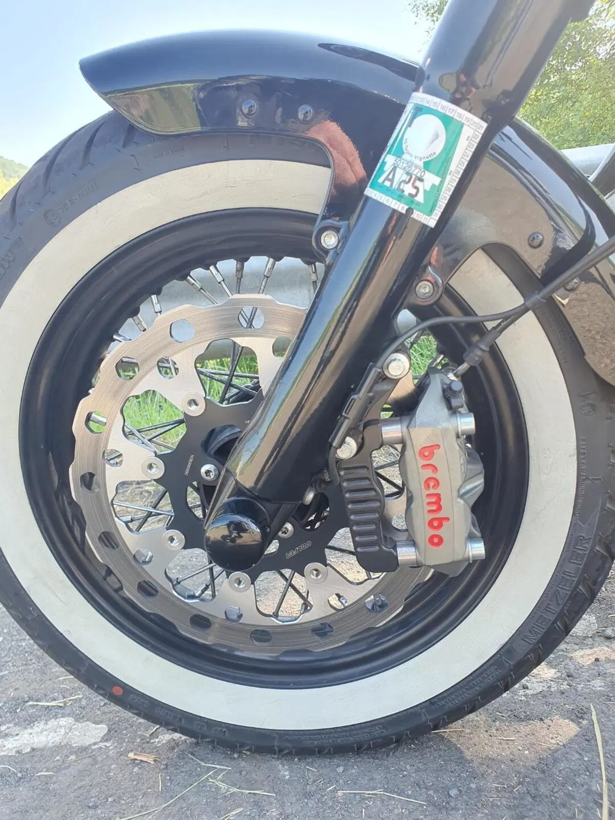 Harley-Davidson 1690 Slim (2011 - 16) - FLS (6)