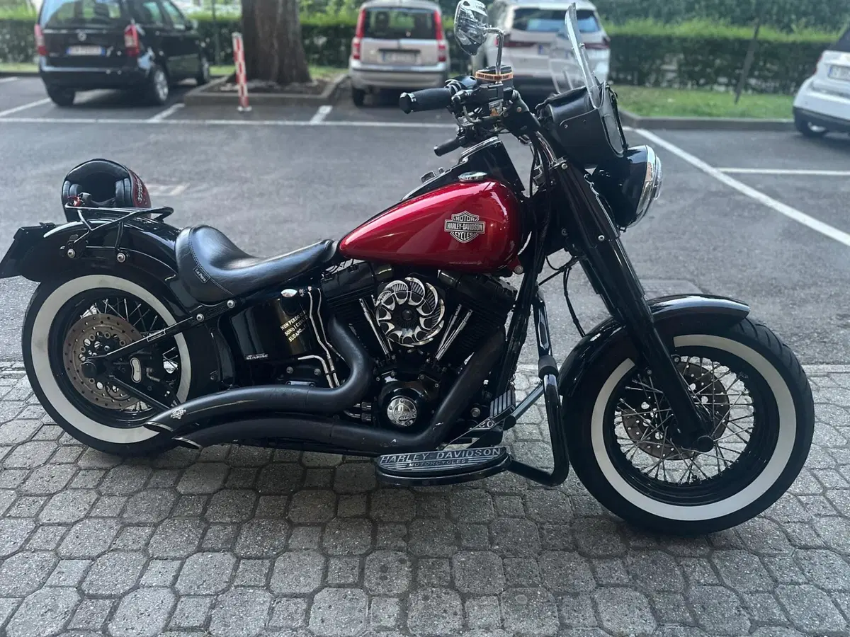 Harley-Davidson 1690 Slim (2011 - 16) - FLS (7)