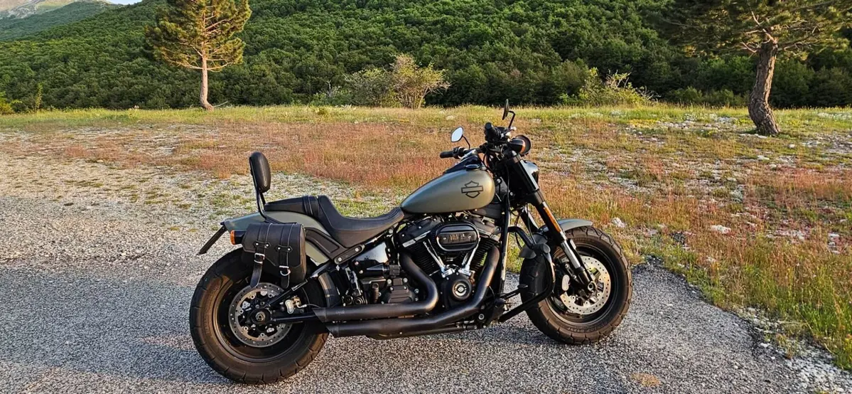 Harley-Davidson Fat Bob 114 (2021 - 25)