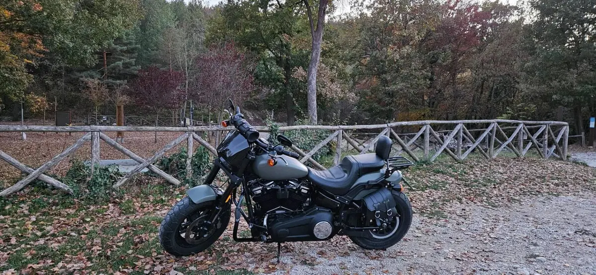 Harley-Davidson Fat Bob 114 (2021 - 25) (2)