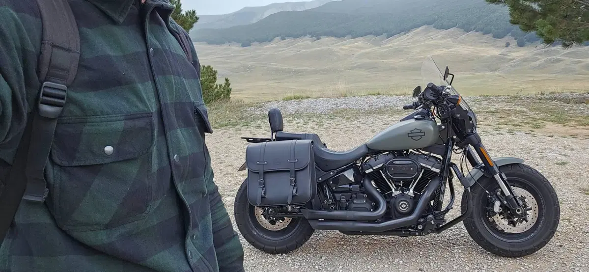 Harley-Davidson Fat Bob 114 (2021 - 25) (5)