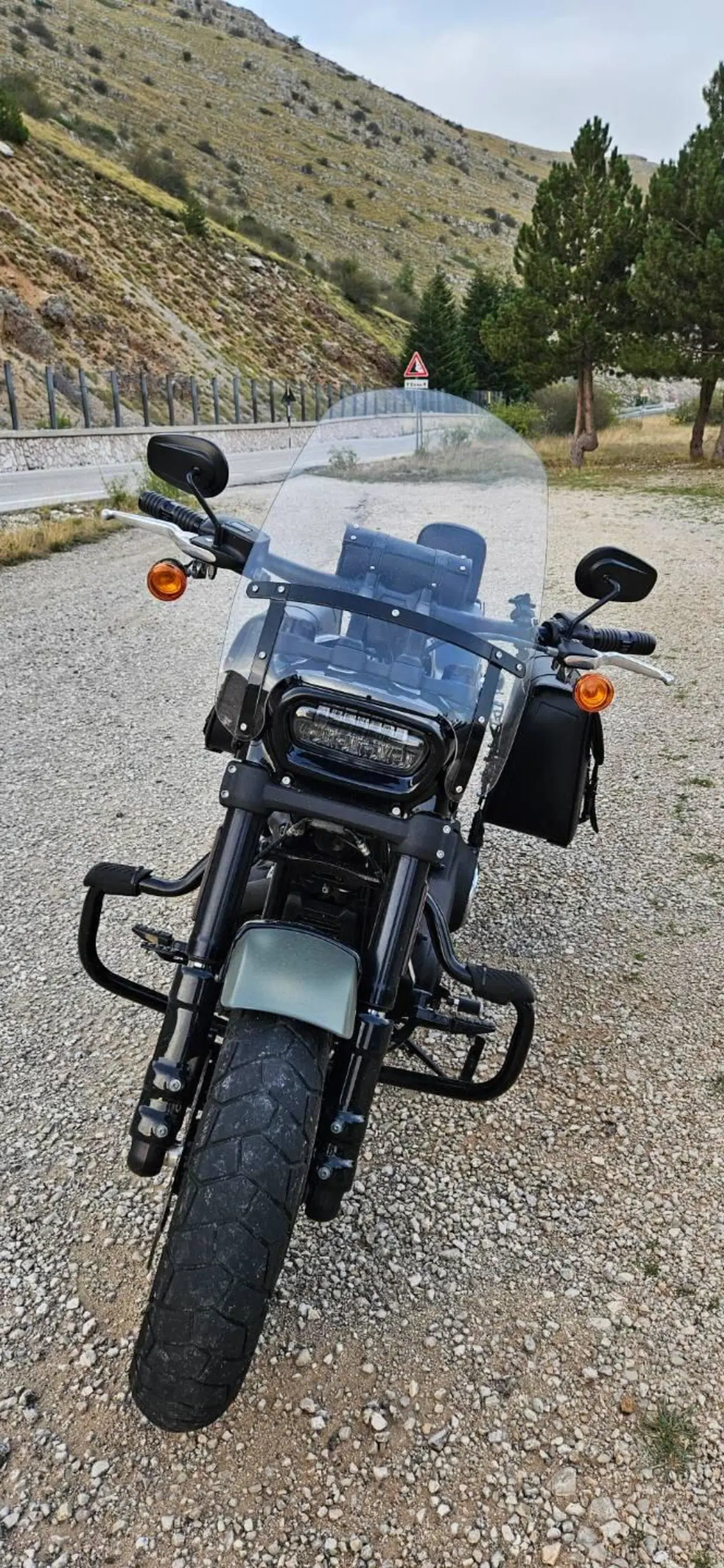 Harley-Davidson Fat Bob 114 (2021 - 25) (6)
