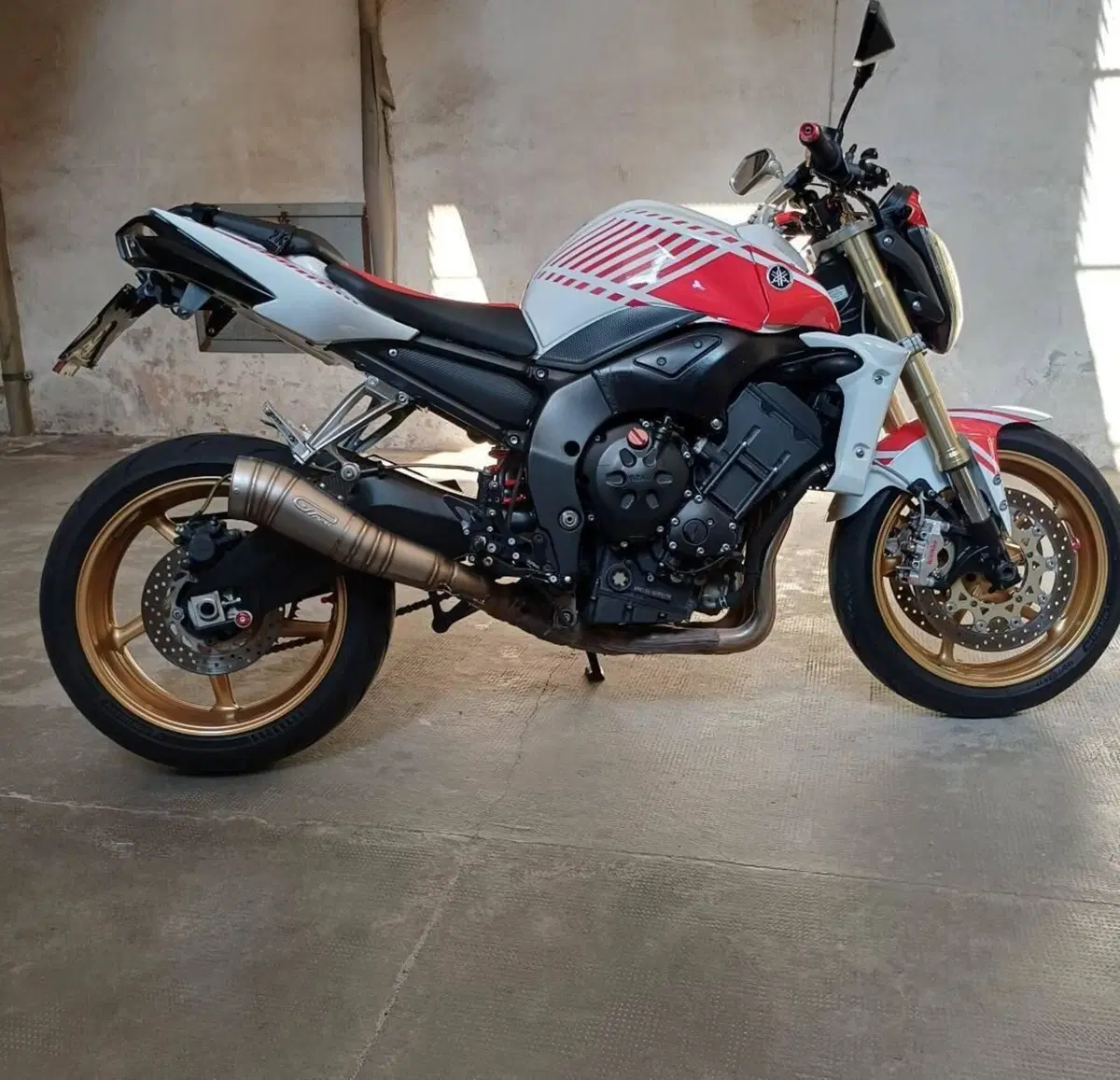 Yamaha FZ1 (2006 - 16) (4)