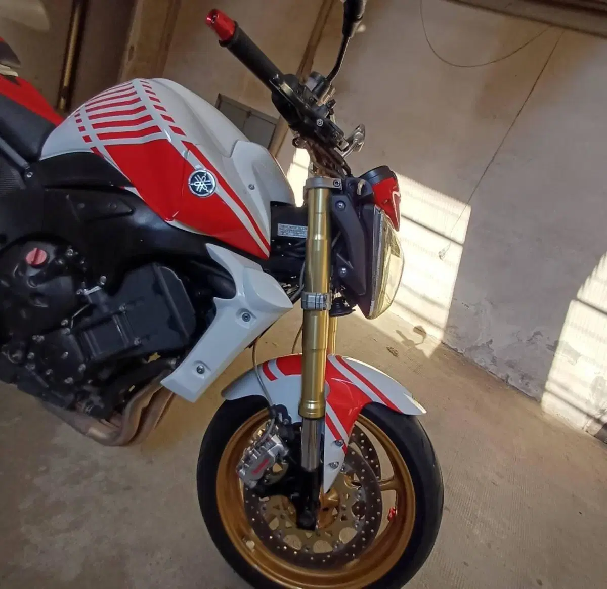 Yamaha FZ1 (2006 - 16) (6)
