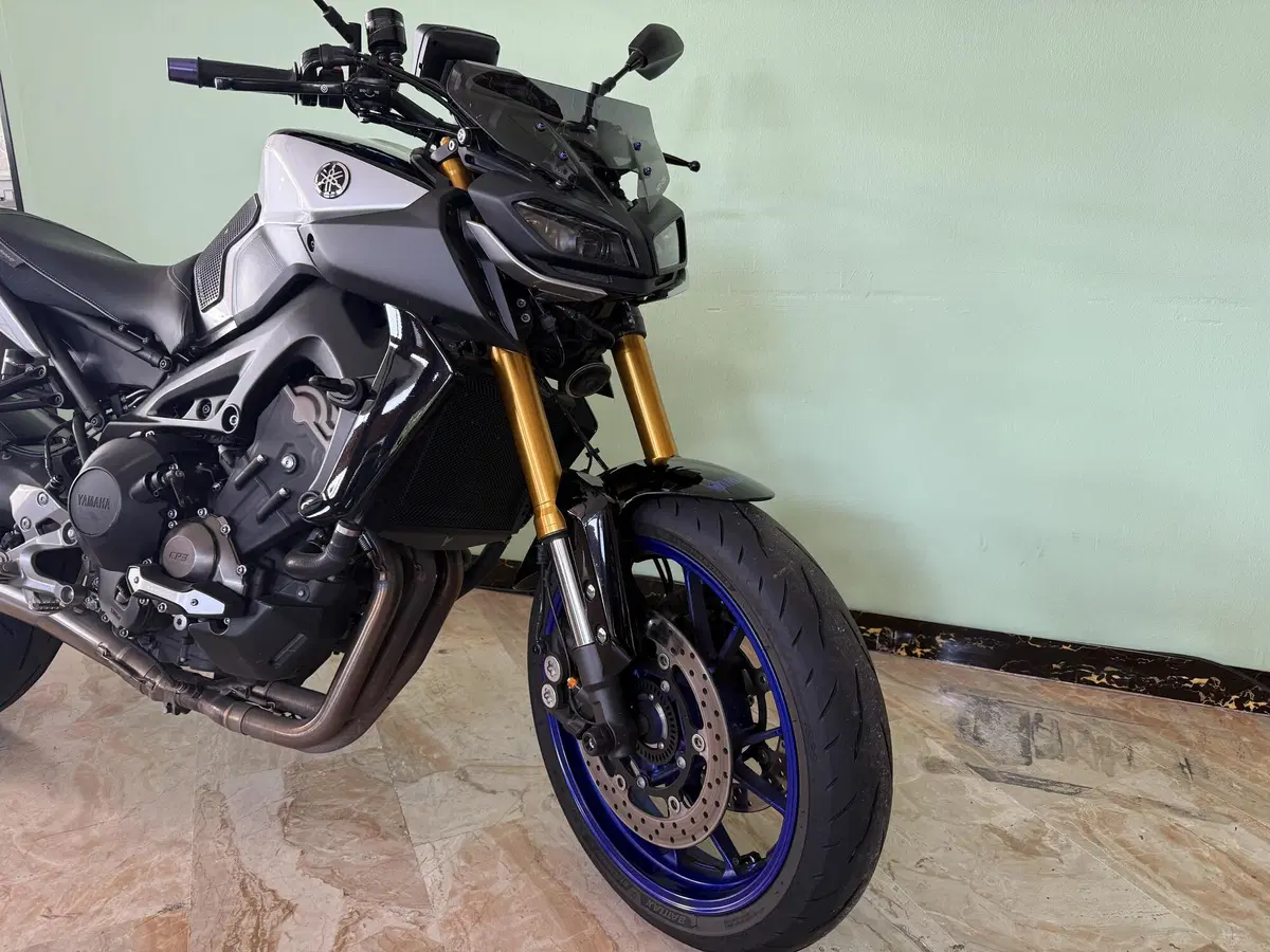 Yamaha MT-09 SP (2018 - 20) (6)
