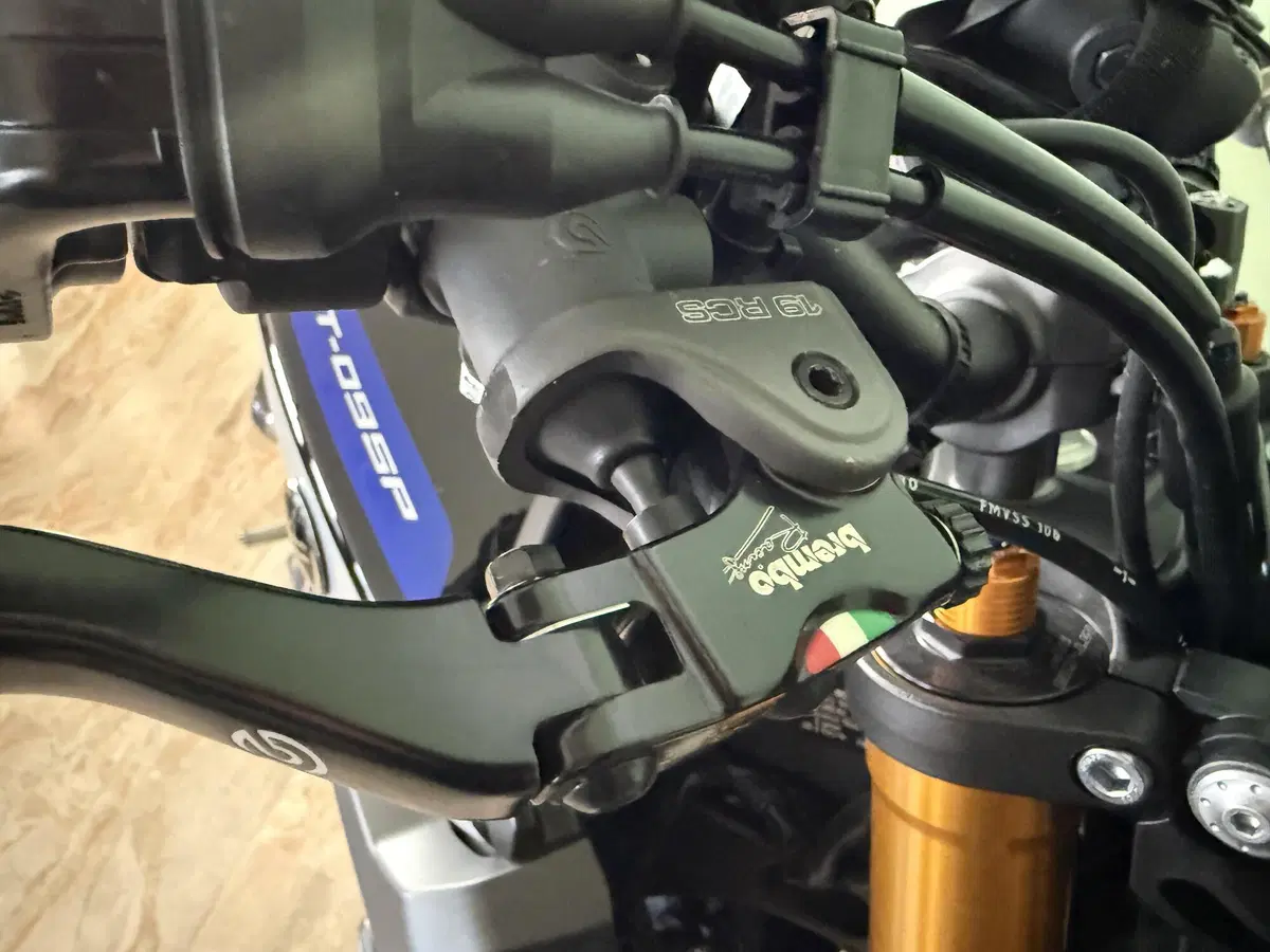 Yamaha MT-09 SP (2018 - 20) (12)