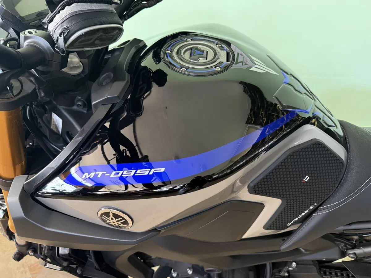 Yamaha MT-09 SP (2018 - 20) (13)