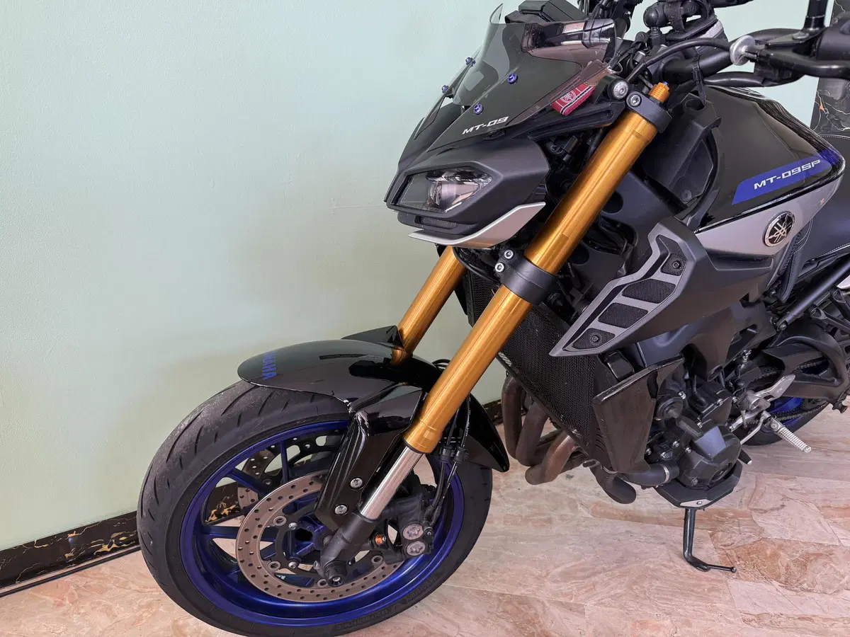Yamaha MT-09 SP (2018 - 20) (14)