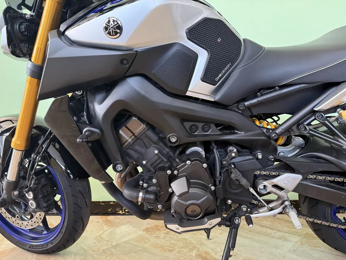 Yamaha MT-09 SP (2018 - 20) (15)