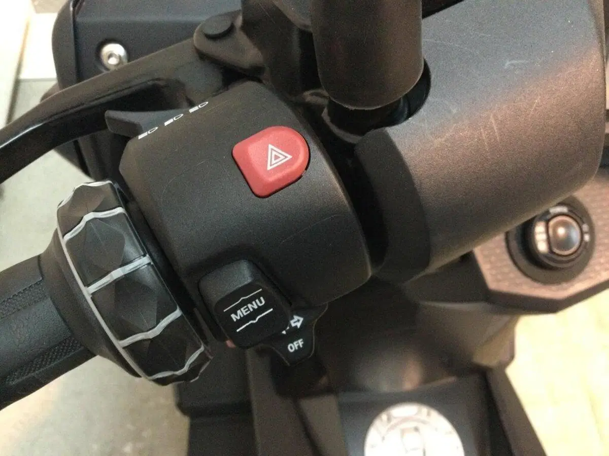 Bmw C 400 GT (2019 - 20) (13)