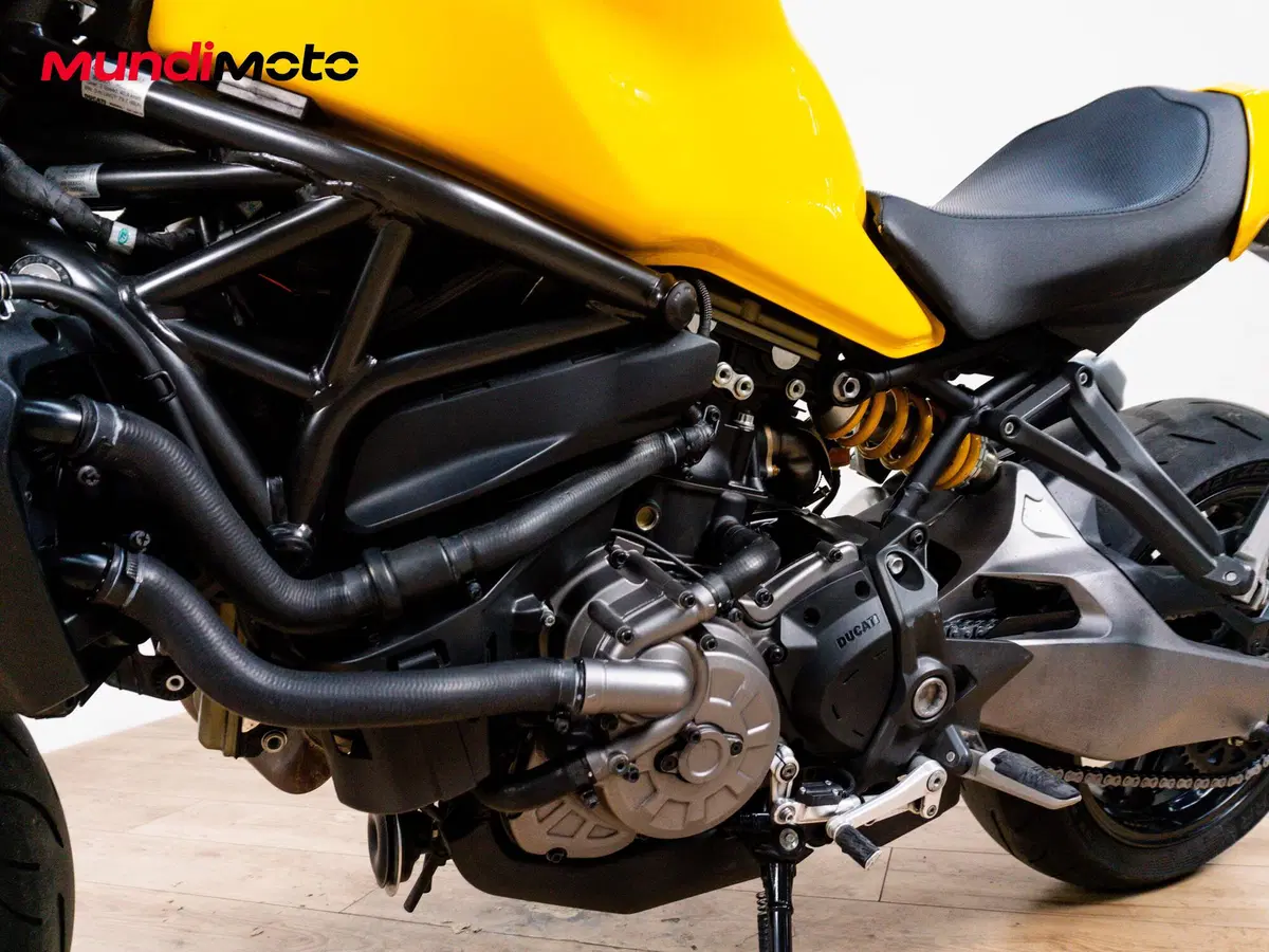 Ducati Monster 821 (2018 - 20) (9)