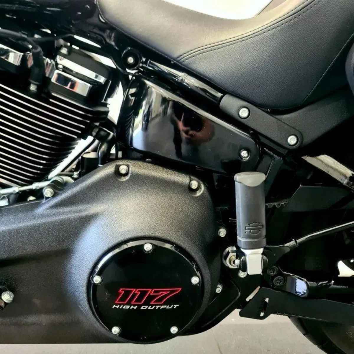 Harley-Davidson Low Rider ST (2025 - 26) (12)