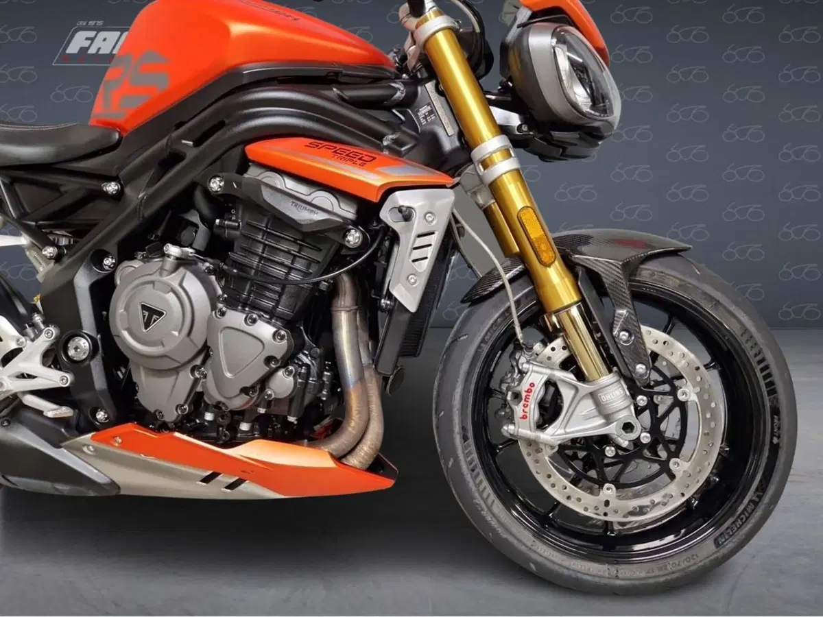 Triumph Speed Triple 1200 RS (2021 - 24) (3)