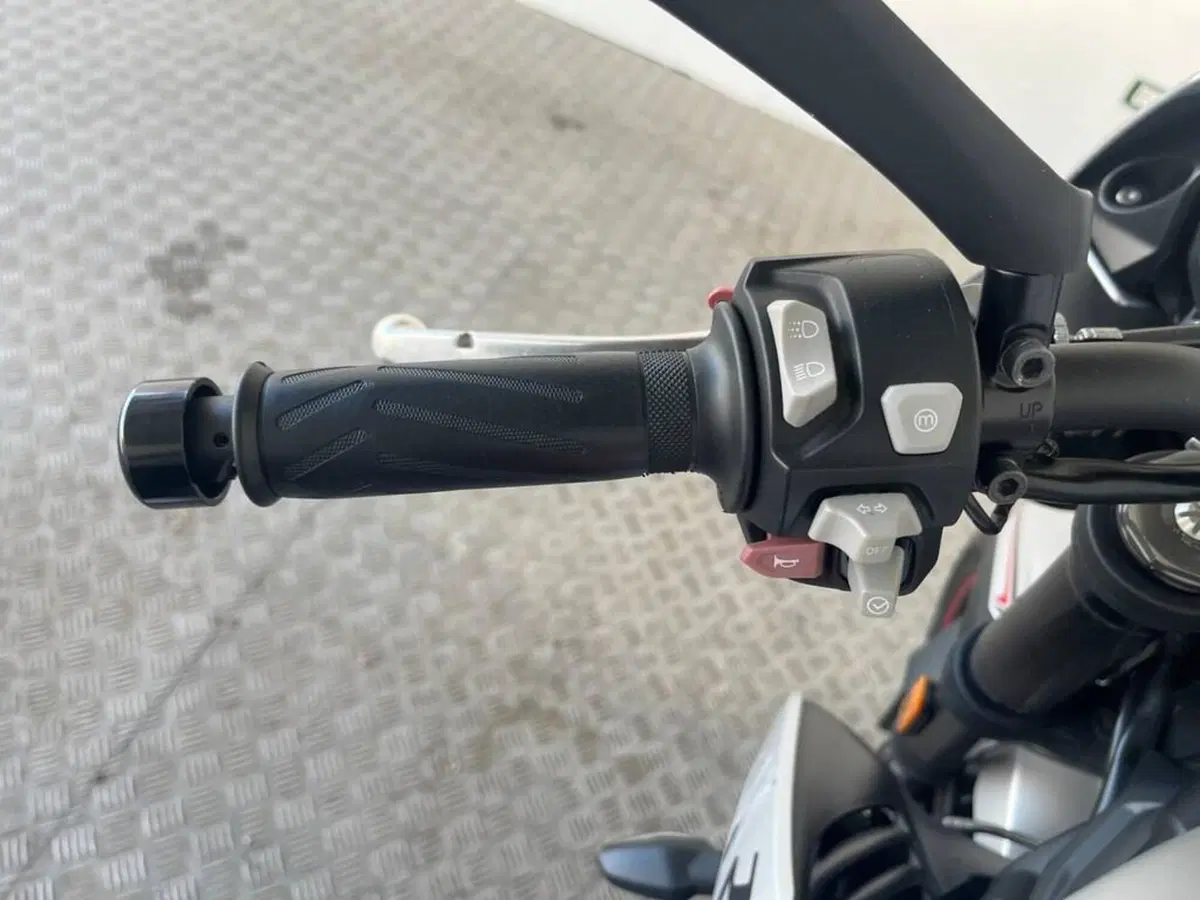 Triumph Street Triple R (2017 - 20) (7)