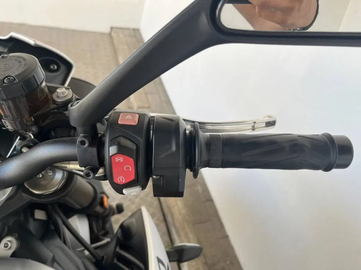 Triumph Street Triple R (2017 - 20) (9)