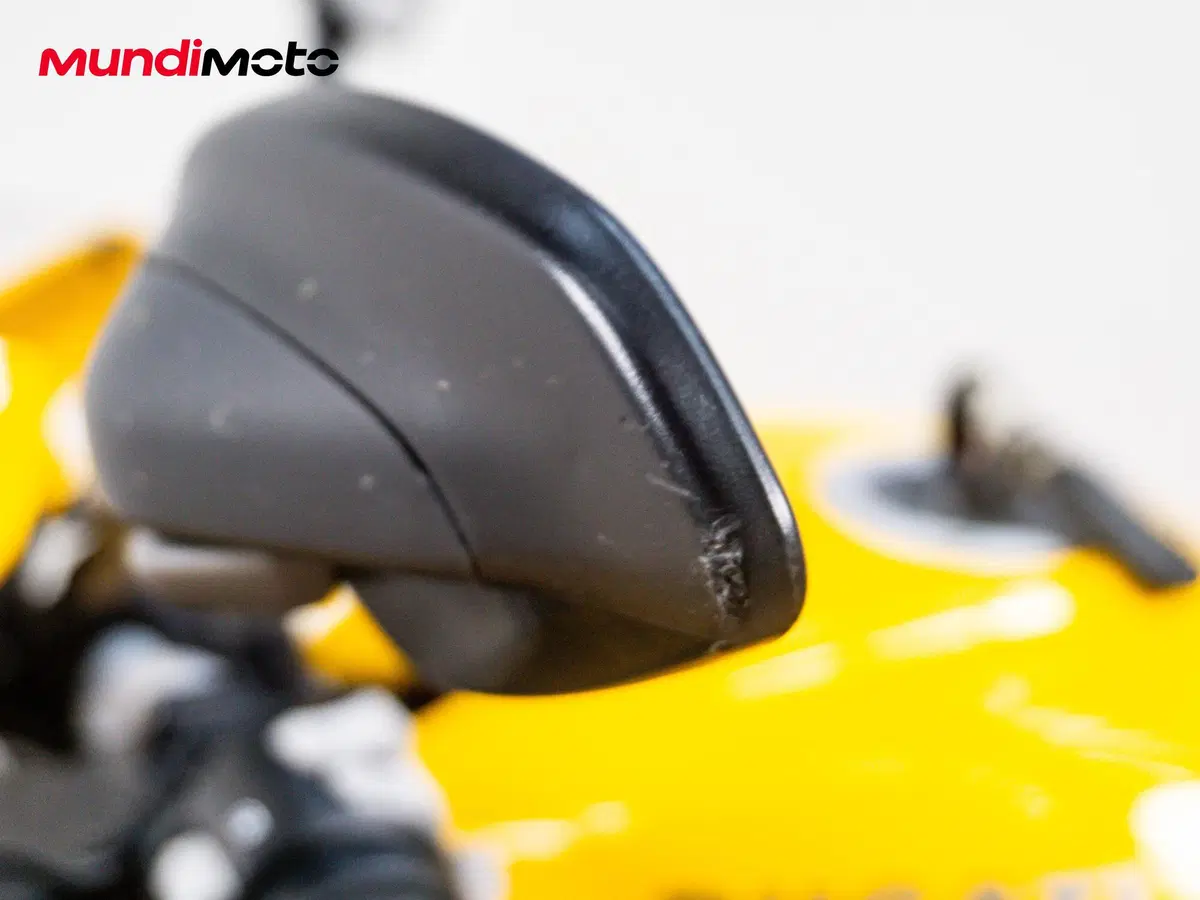 Ducati Monster 821 (2018 - 20) (14)