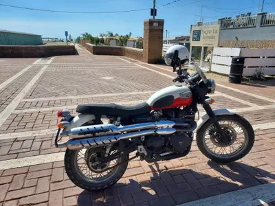 Triumph Scrambler (2006 - 17) usata