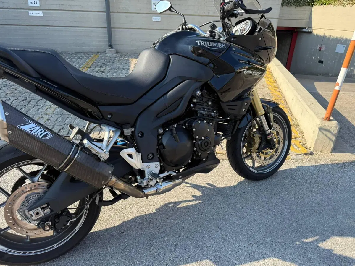 Triumph Tiger 1050 ABS (2006 - 12) (4)