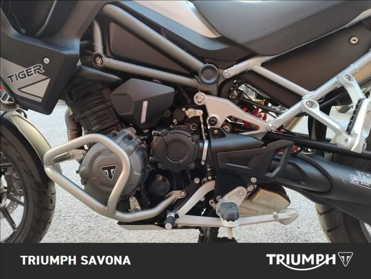 Triumph Tiger 1200 GT Pro (2022 - 23) (14)