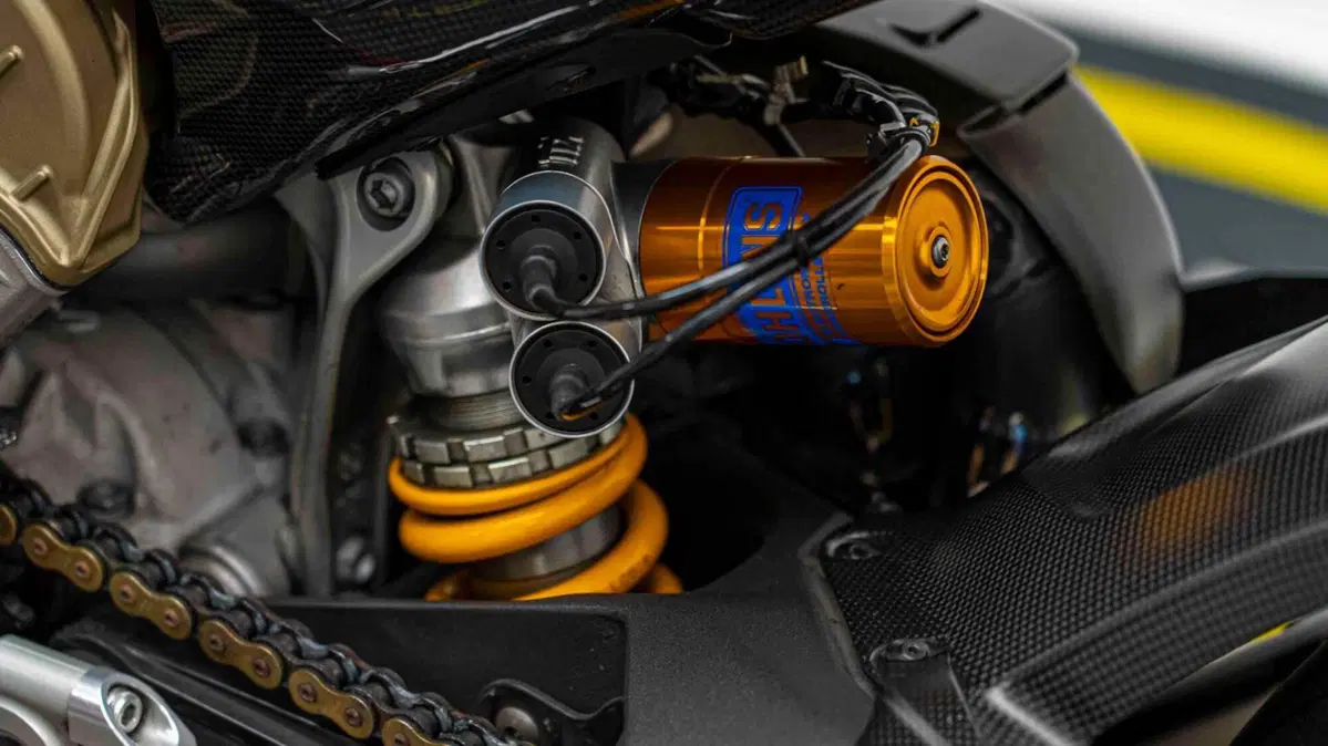 Ducati Panigale V4 Speciale 1100 (2018 - 19) (15)