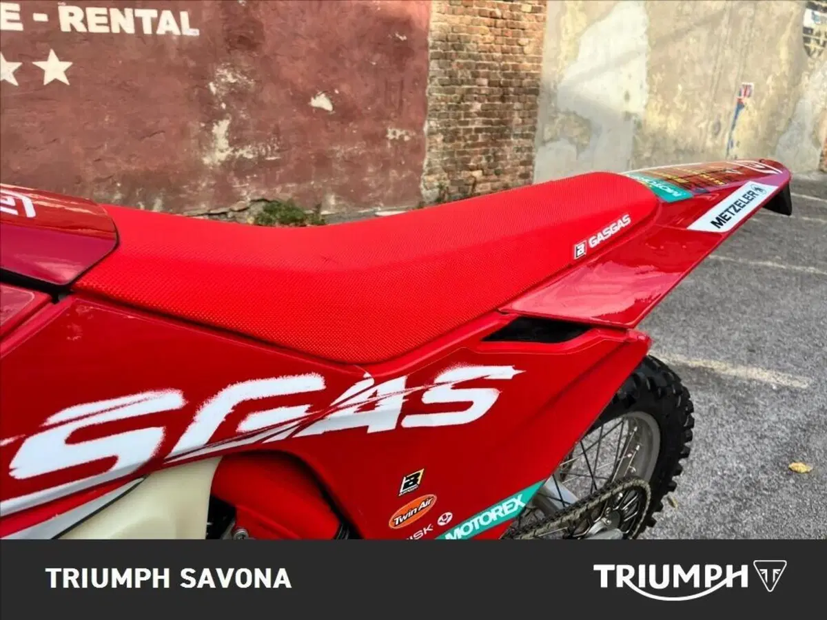GASGAS EC 250 F (2024) (16)