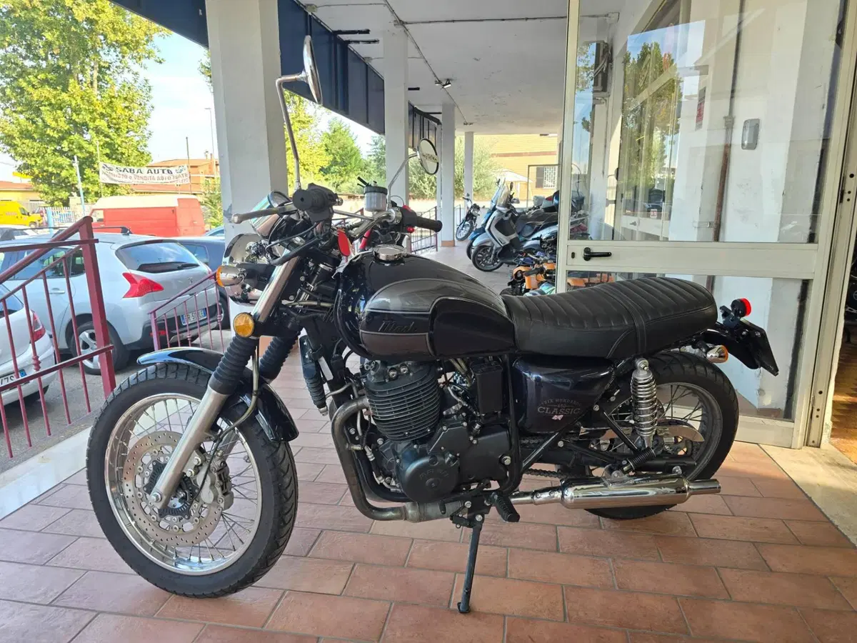 Mash Italia Six Hundred 650 (2021 - 25) (2)