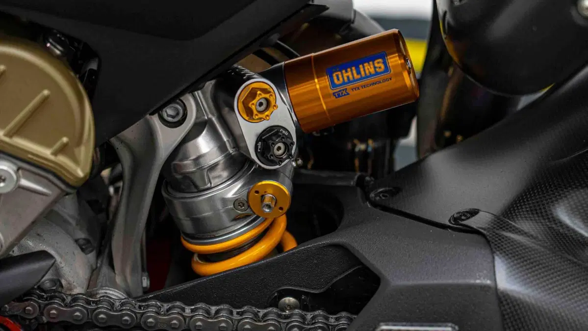 Ducati Panigale V4 R (2023 - 24) (19)