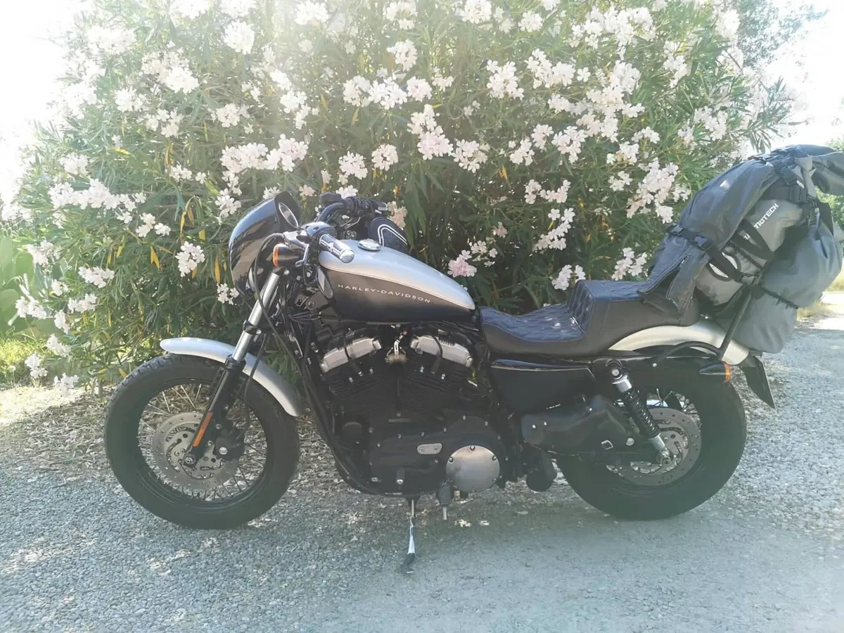 Harley-Davidson XL 1200N Nightster (2008 - 12) (2)