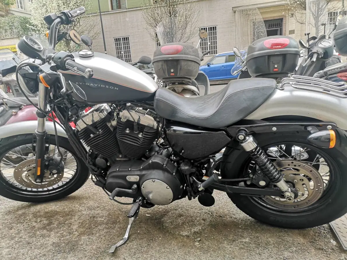 Harley-Davidson XL 1200N Nightster (2008 - 12) (5)