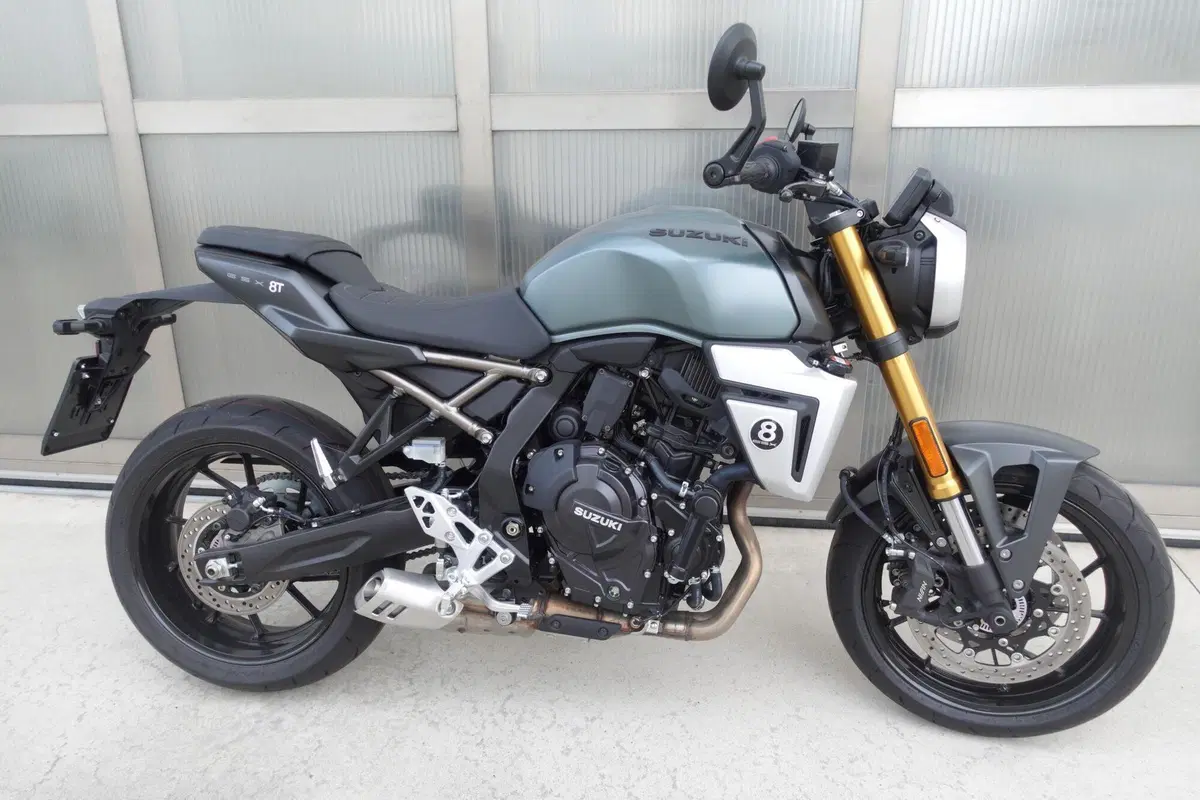 Suzuki GSX-8T (2025 - 26) (2)