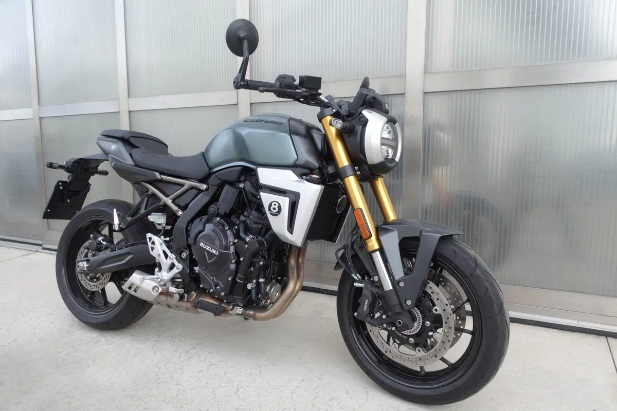 Suzuki GSX-8T (2025 - 26) (5)