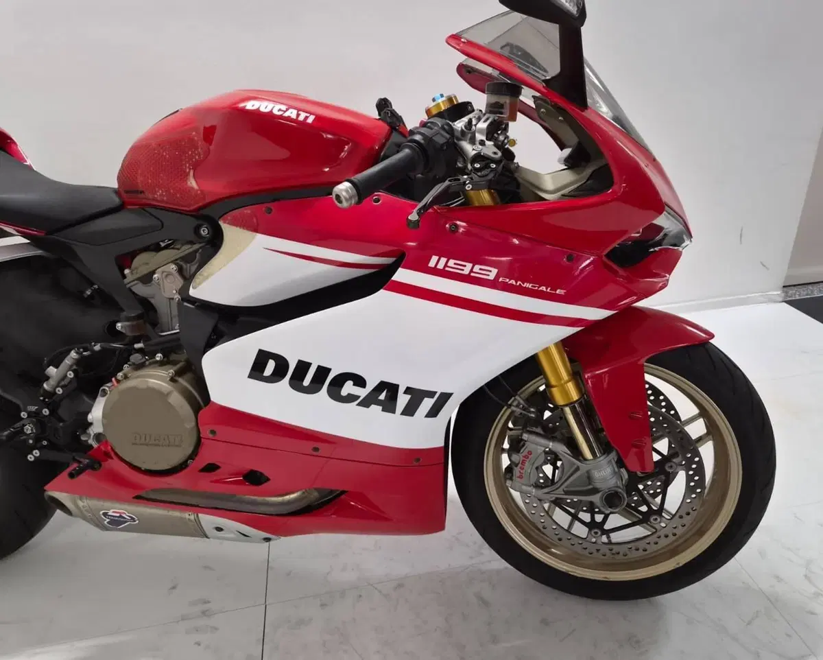 Ducati 1199 Panigale ABS (2013 - 14) (5)