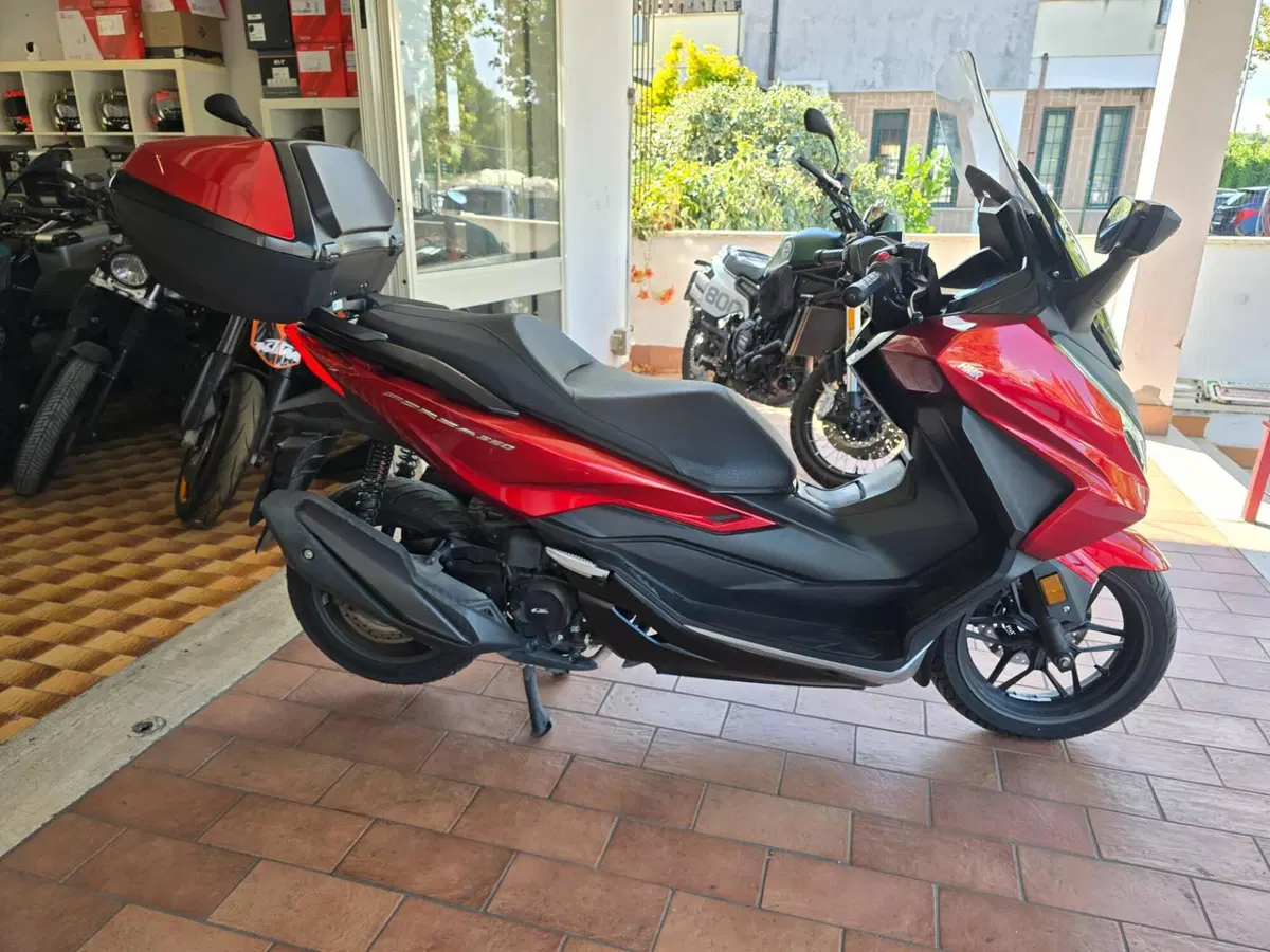 Honda Forza 350 Deluxe (2022 - 24) (3)