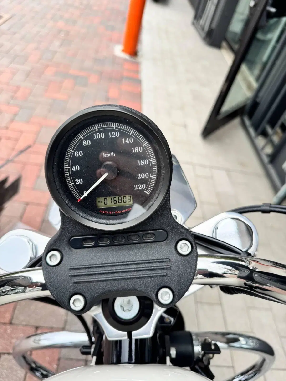 Harley-Davidson 883 Low (2008 - 12) - XL 883L (6)