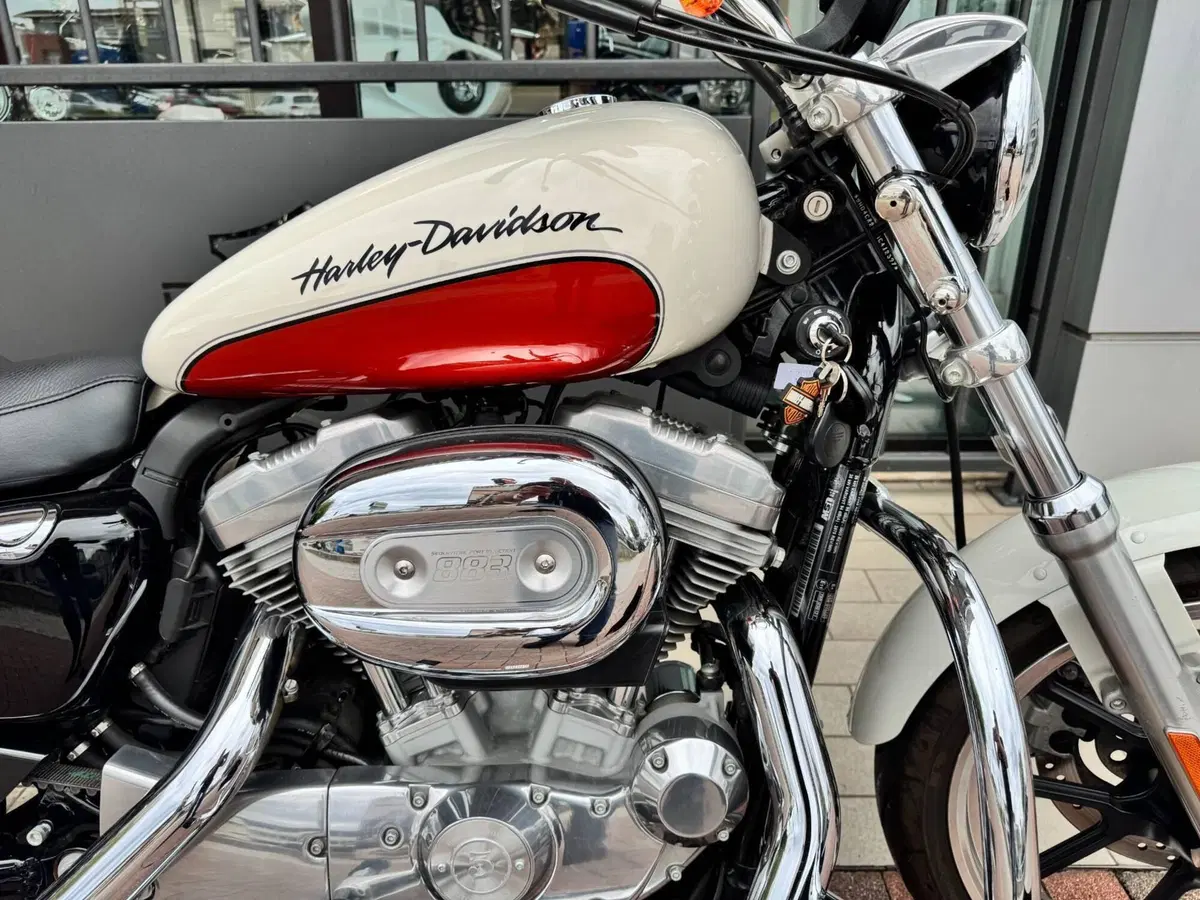 Harley-Davidson 883 Low (2008 - 12) - XL 883L (5)