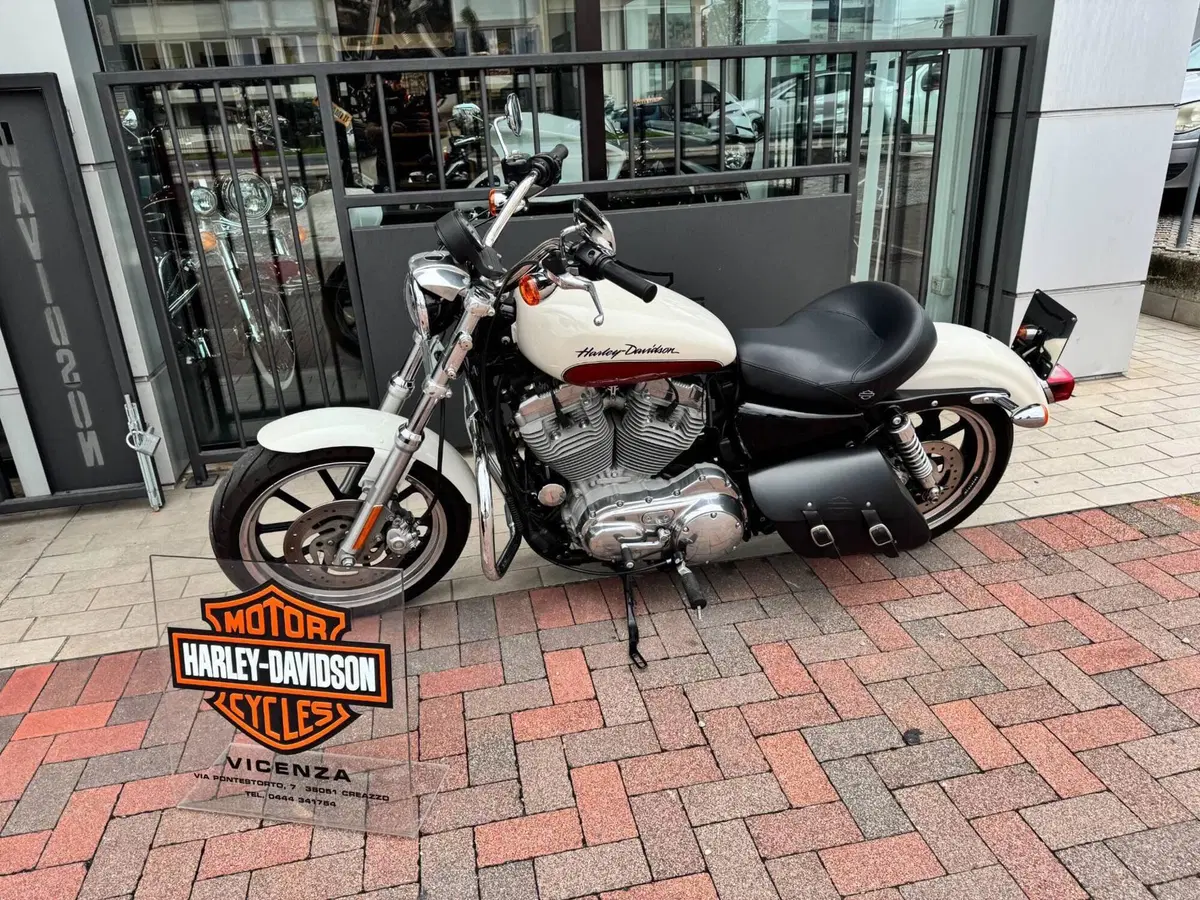 Harley-Davidson 883 Low (2008 - 12) - XL 883L (2)
