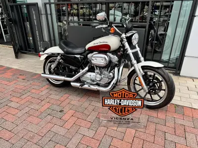 Harley-Davidson 883 Low (2008 - 12) - XL 883L usata