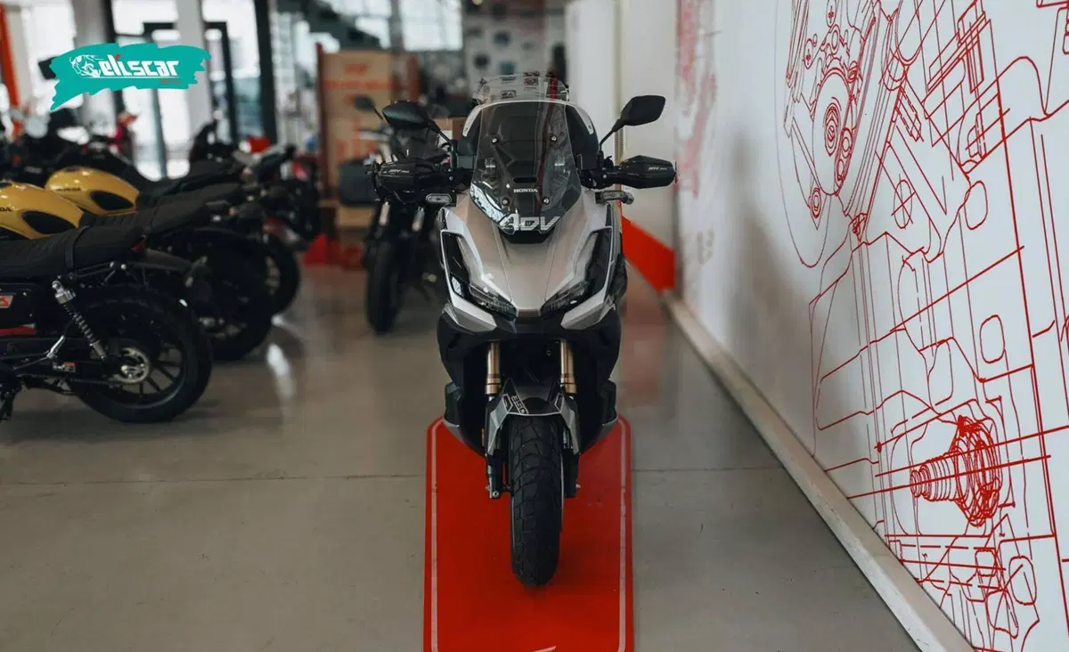 Honda ADV 350 (2022 - 24) (3)